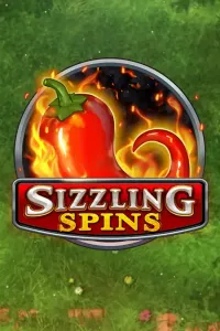 Sizzling Spins